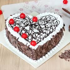 Black Forest Delight Cake