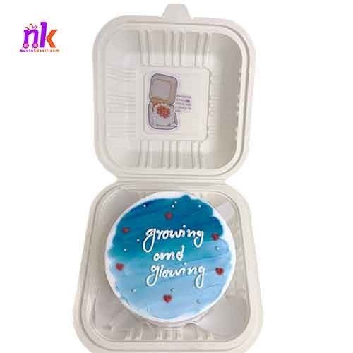 Vanilla Bento Cake