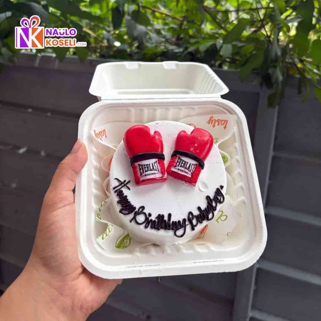 Boxing Bento Cake